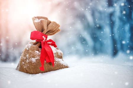 Present bag lying on the fresh snow in winter in forestの写真素材