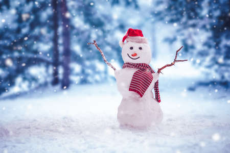 Cheerful snowman with striped scarf and in Christmas hat standing in winter forest.の写真素材
