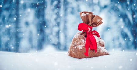 Present bag lying on the fresh snow in winter in forestの写真素材