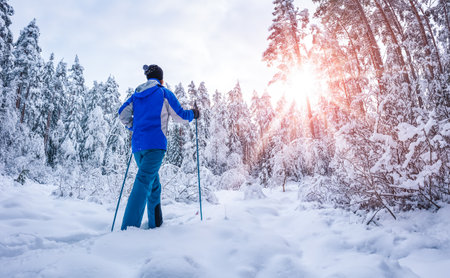 Skier foots in skis in the snowy winter forestの写真素材