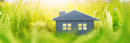 Grey plastic model of the house on the fresh grass on a sunny day.の写真素材