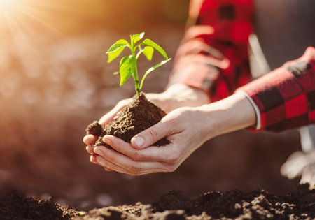 Woman hands taking care of a seedling in the soil.の写真素材