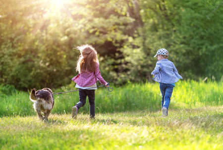 Children walking with a dog in natureの写真素材