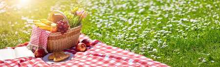 Picnic bascket on the duvet on the meadow in the natureの写真素材