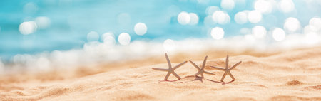 Starfishes on the beach sand in summerの写真素材