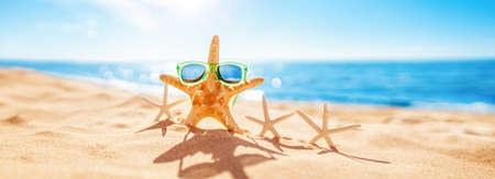 Starfishes on the beach sand in summerの写真素材
