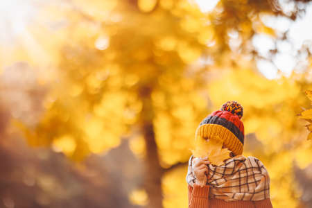 Happy child hiding his eyes behind the maple leaves.の写真素材