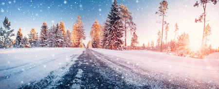 Beautiful winter road in natural sunny park.の写真素材