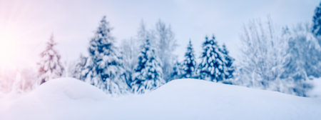Closeup view of the slope snowdrift in spruce forest in winter.の写真素材