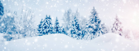 Closeup view of the slope snowdrift in spruce forest in snowfall.の写真素材
