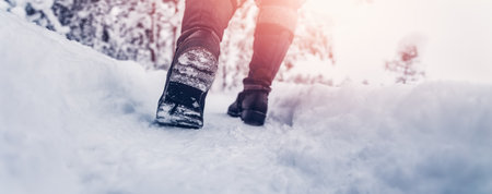 Woman walking in the snowy forest in winter.の写真素材