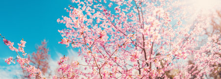 Cherry tree blossoming in spring in natural park.の写真素材