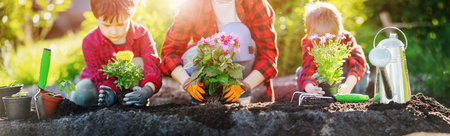 Mother with children planting sprouts in the cultivated soil.の写真素材