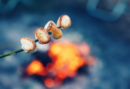 Closeup view of the roasted marshmallow on the stick above the fire.の写真素材