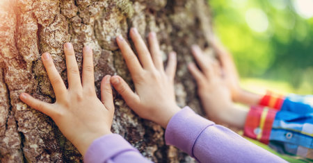 Childrens hands touching tree trunk in the natural park.の写真素材