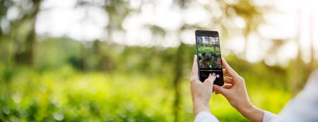 Woman making photo on the smart phone of nature outdoorsの写真素材