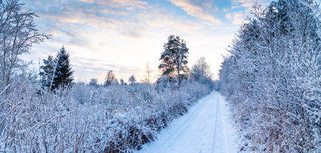 Beautiful view of the sunrise in the morning on the country snowy road.の写真素材