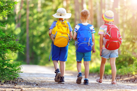 Three children walking along a path in a summer forest.の写真素材