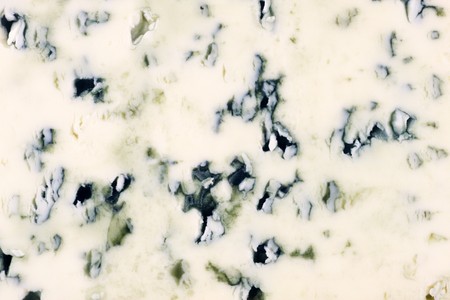 Blue cheese textureの写真素材