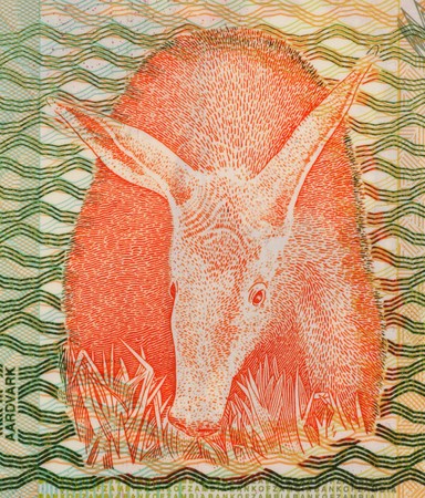 Aarovark on 1000 Kwacha 2003 Banknote from Zambia.の写真素材