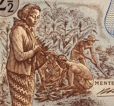 Field Workers on 2 and half Rupiah 1961 Banknote from Indonesia.の写真素材
