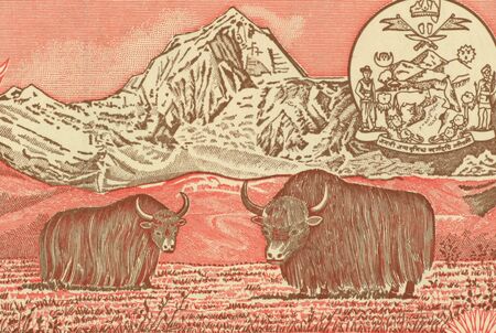 Pair of Yaks on 5 Rupees 1987 Banknote from Nepal.の写真素材