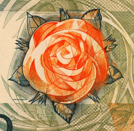 Rose on 100 Escudos 1988 Banknote from Portugal.の写真素材