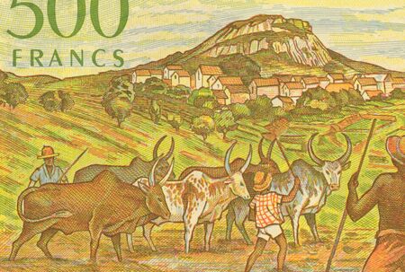 Herdsmen with Zerbus on 500 Francs 1995 Banknote from Madagascar.の写真素材
