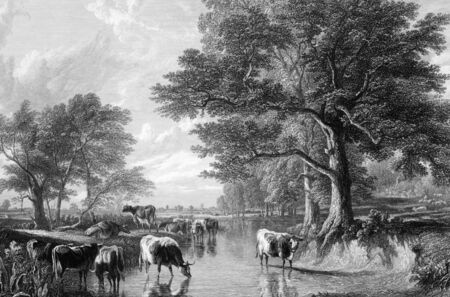 Evening in the meadows on engraving from 1883. Engraved by J.Cousen after a picture by T.S.Cooper.のeditorial素材