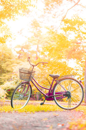 Bicycle in parkの写真素材