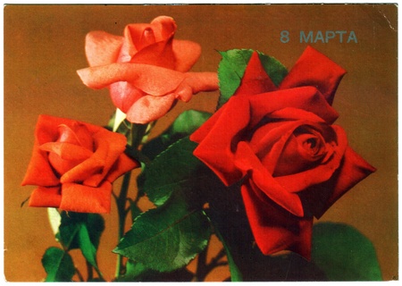 USSR - CIRCA 1989: Postcard printed in the USSR shows draw by Krycko - Red Roses, circa 1989のeditorial素材
