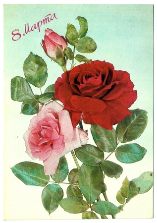 USSR - CIRCA 1987: Postcard printed in the USSR shows draw by Dergileva - Red Roses, circa 1987のeditorial素材