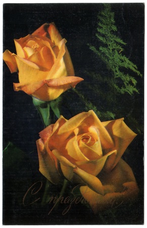 USSR - CIRCA 1988: Postcard shows draw by Artist Gyseinzade - yellow roses, circa 1988. Russian text: The holiday!のeditorial素材