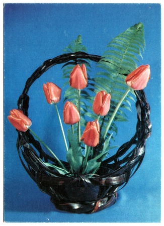 USSR - CIRCA 1992: Postcard, photographer Syhanova - basket of tulips, circa 1992のeditorial素材