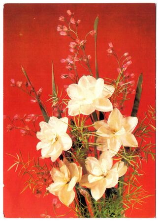 USSR - CIRCA 1989: Postcard, photographer Dergileva - daffodils, circa 1989のeditorial素材