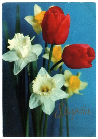 USSR - CIRCA 1973: Postcard printed in the USSR shows draw by Kostenko - tulips and daffodils, circa 1973, Russian text: 8 march!のeditorial素材