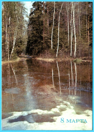 USSR - CIRCA 1986: Postcard printed in the USSR honoring International Women's Day of Solidarity shows Spring birch forest, circa 1986. Text in Russian: March 8.のeditorial素材