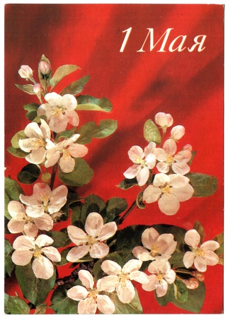 USSR - CIRCA 1990: Postcard shows draw by Dergileva - flowers, circa 1990. Russian text: May 1のeditorial素材