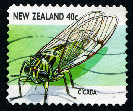 NEW ZEALAND - CIRCA 1997: stamp printed by New Zealand, shows Creepy Crawlies, Cicada, circa 1997のeditorial素材