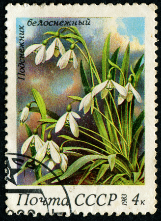 USSR - CIRCA 1983: A stamp printed in USSR (Russia) shows a Snowdrops with the inscription "Galanthus nivalis", from the series "Spring Flowers", circa 1983のeditorial素材