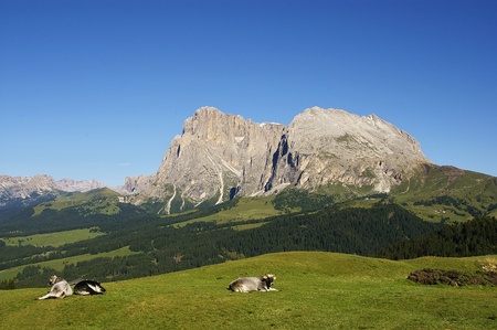A GREAT VIEW OF ITALIAN ALPSの写真素材