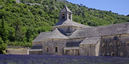 abbey of Senanque,Provence,Franceの写真素材