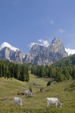 dolomitesの写真素材