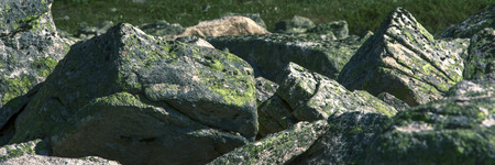 Stones in Buryatiaの写真素材