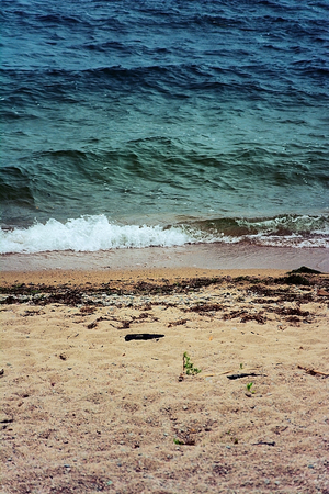 Multicolor Baikalの写真素材