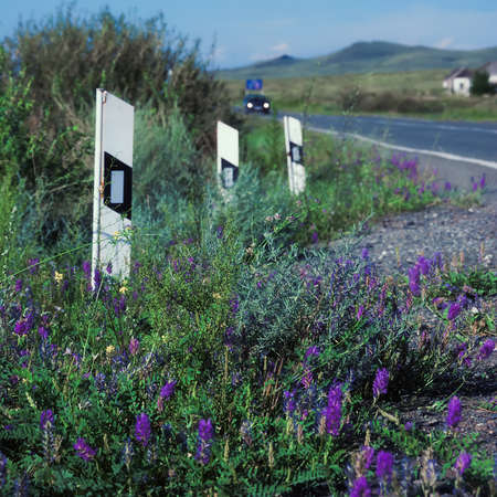 Signal columns in flowers by the roadの写真素材