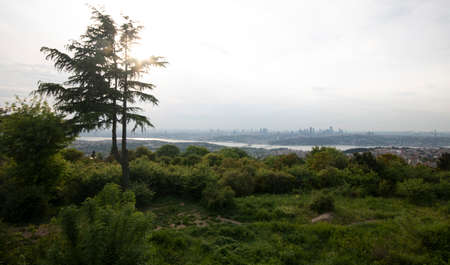Trees and sunset from the top of Istanbul CamlÄ±ca. Bosphorus view.の写真素材