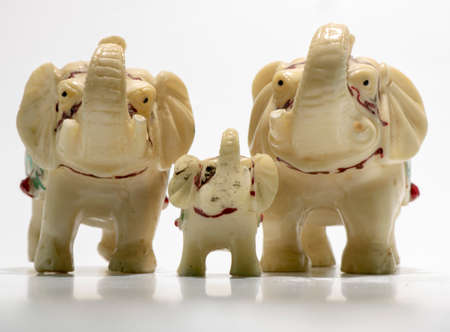 Elephant family in white. Mother, Father, Child. White background.の写真素材
