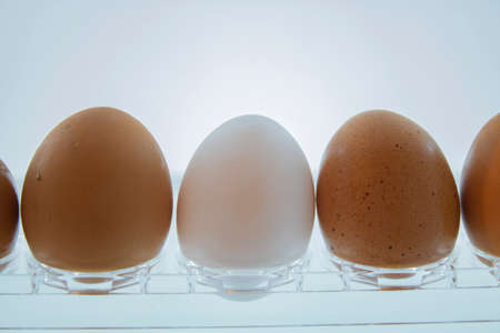 Fridge and eggs. White and brown.の写真素材