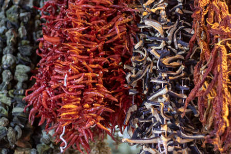 Dried hanging pepper eggplant. They're lined up.の写真素材